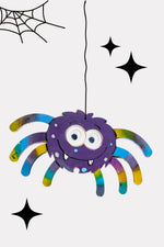 Fluffy Spider Arts & Craft Box